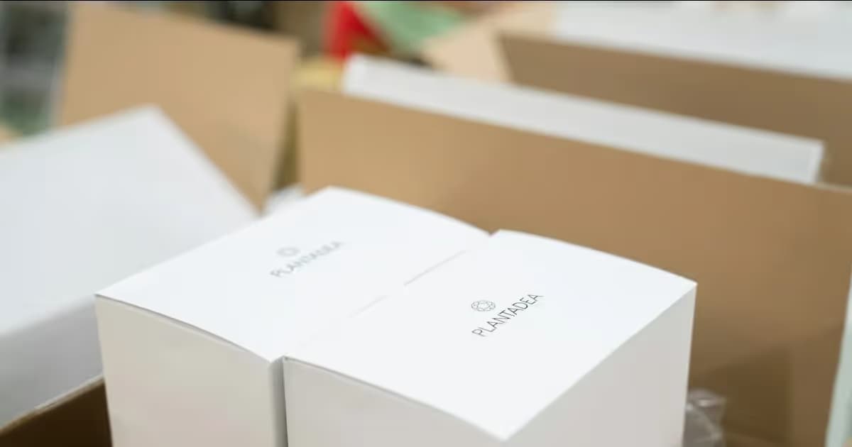 Cartons d'expédition pour une boutique en ligne