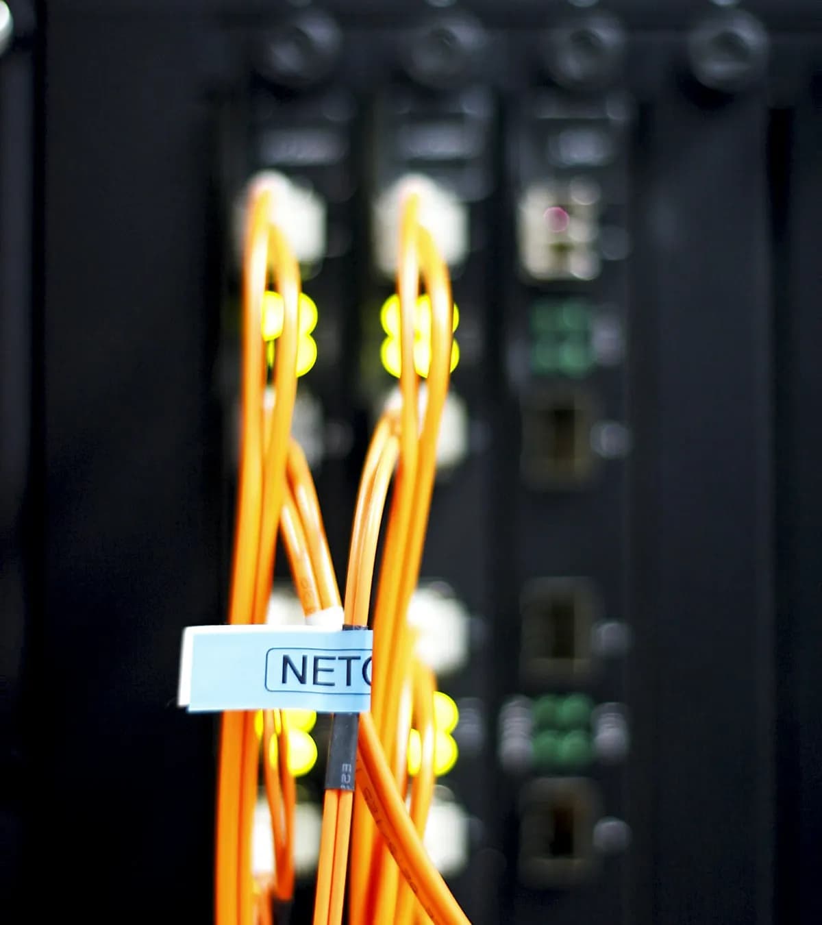 Câbles de fibre optique branchés sur un équipement réseau